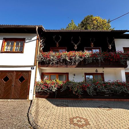 Апартаменти Haus Wagner Бад-Кляйнкірхгайм Екстер'єр фото